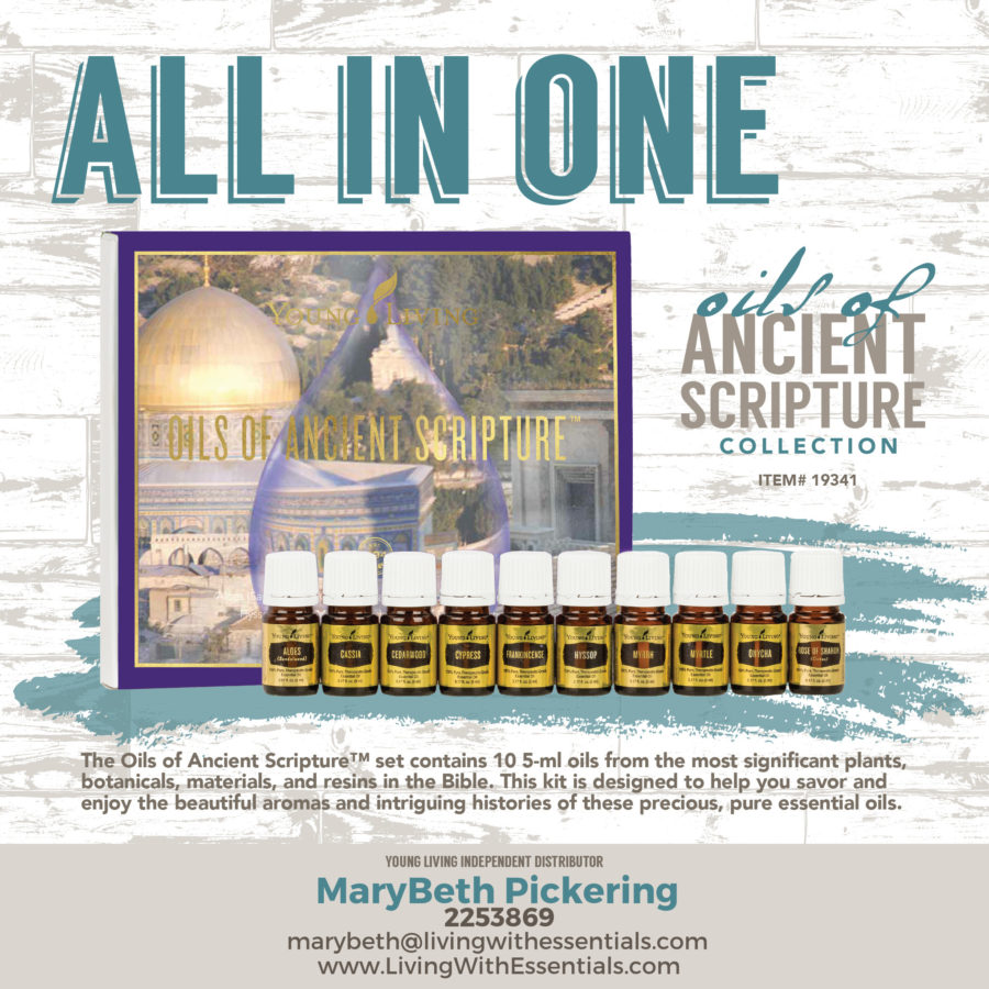 Essential Oils in the Bible - Oils of Ancient Scripture Set