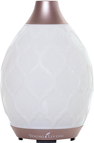 Desert Mist Diffuser by Young Living